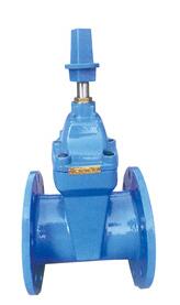 RVX-12/09帶(dai)傳動帽(mao)彈性座(zuò)封閘閥(fá)